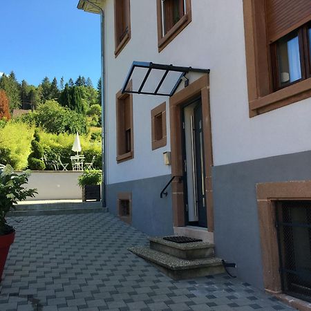 Les Magnolias En Alsace - Meuble De Tourisme 3 Etoiles Apartment Barembach Exterior foto