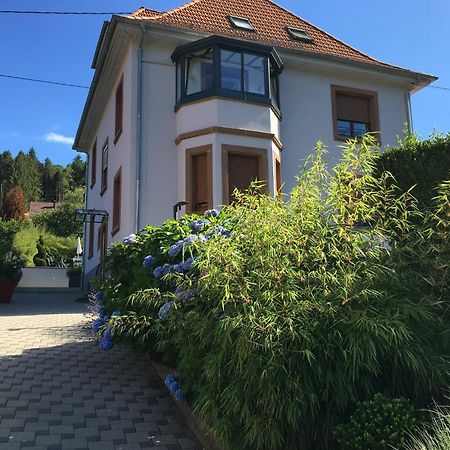 Les Magnolias En Alsace - Meuble De Tourisme 3 Etoiles Apartment Barembach Exterior foto