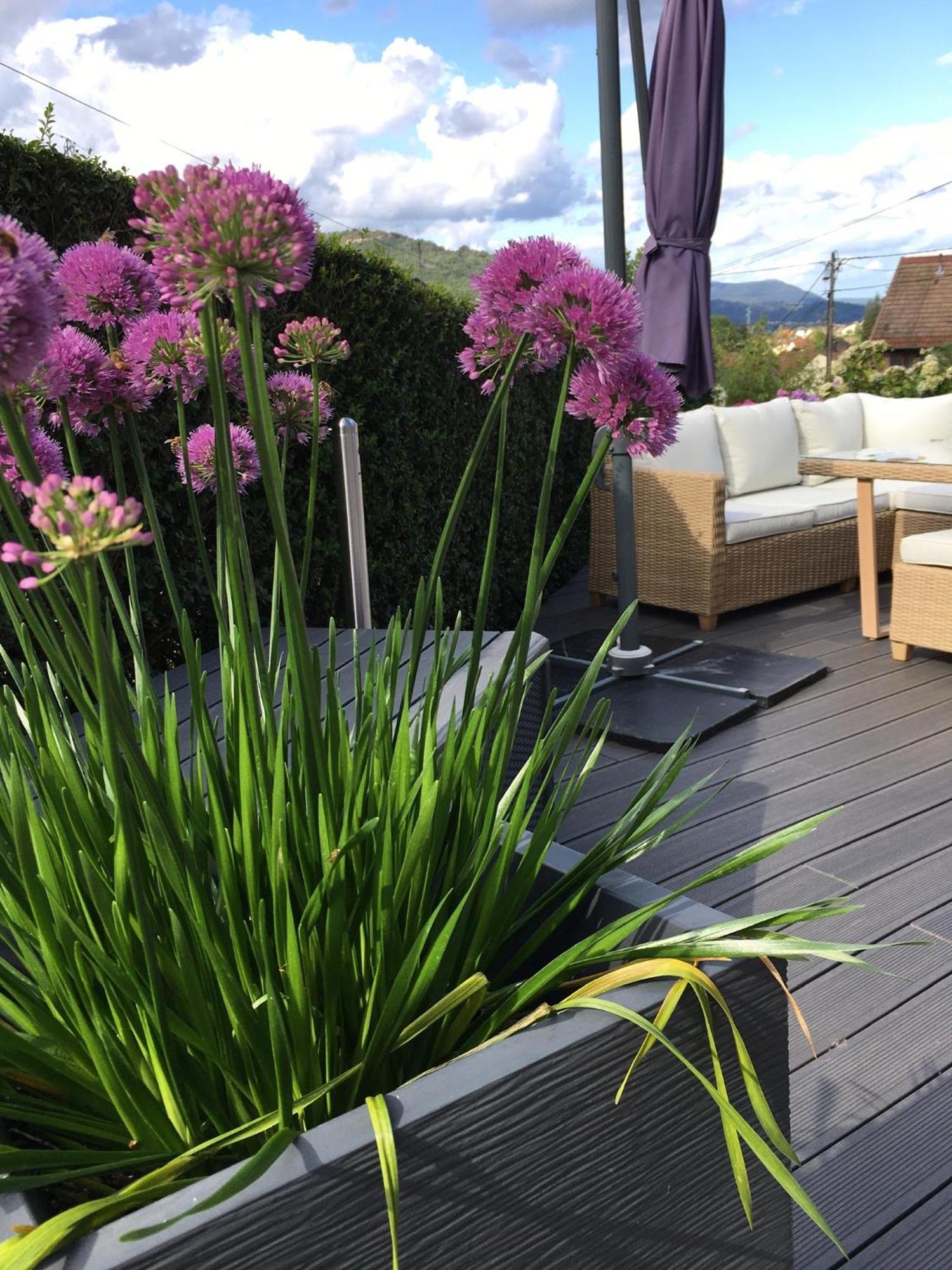 Les Magnolias En Alsace - Meuble De Tourisme 3 Etoiles Apartment Barembach Exterior foto