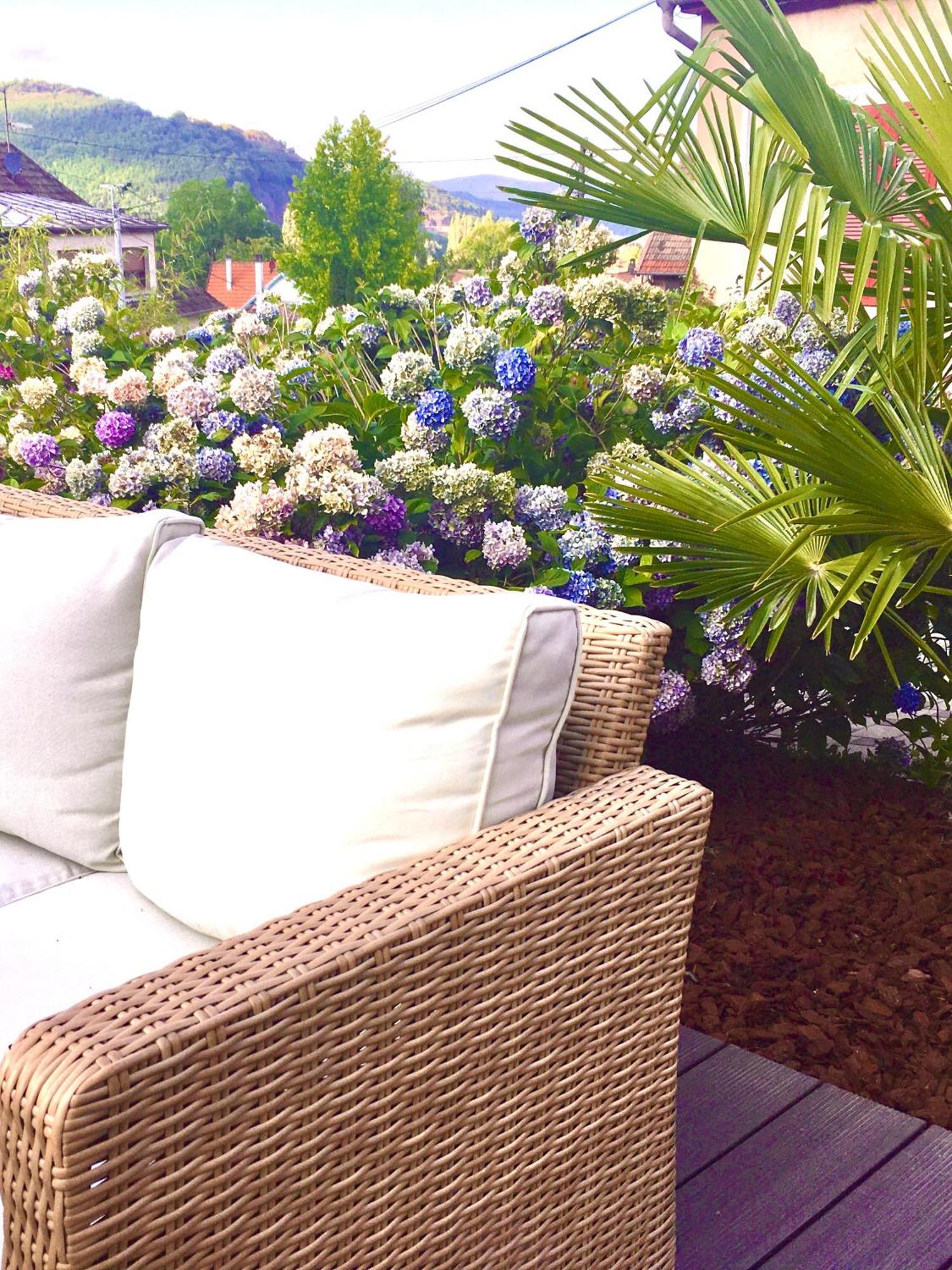 Les Magnolias En Alsace - Meuble De Tourisme 3 Etoiles Apartment Barembach Exterior foto
