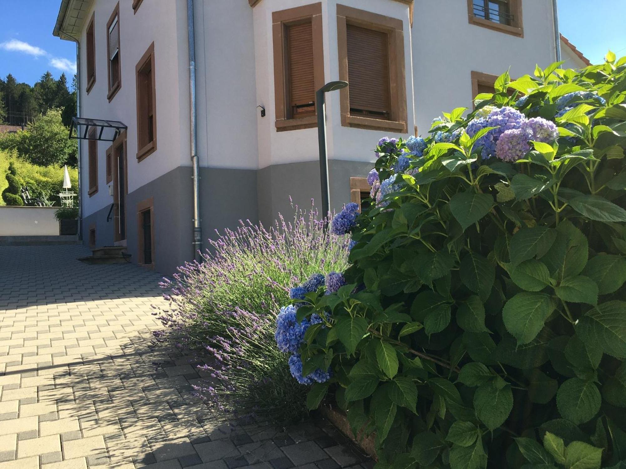 Les Magnolias En Alsace - Meuble De Tourisme 3 Etoiles Apartment Barembach Exterior foto
