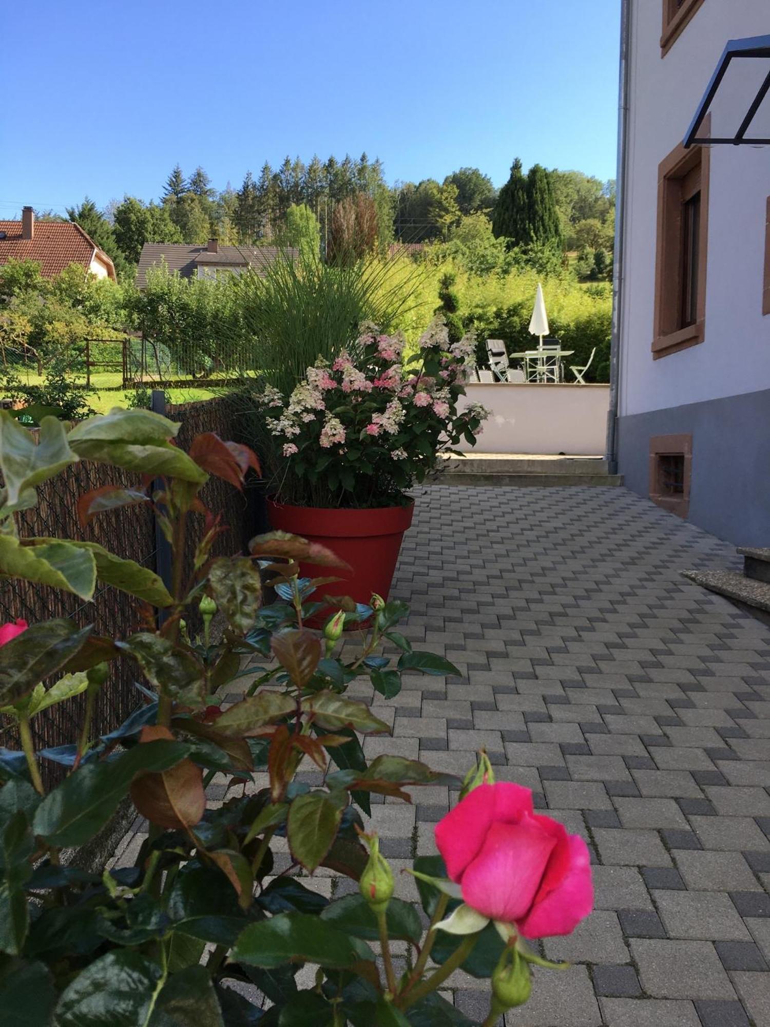 Les Magnolias En Alsace - Meuble De Tourisme 3 Etoiles Apartment Barembach Exterior foto