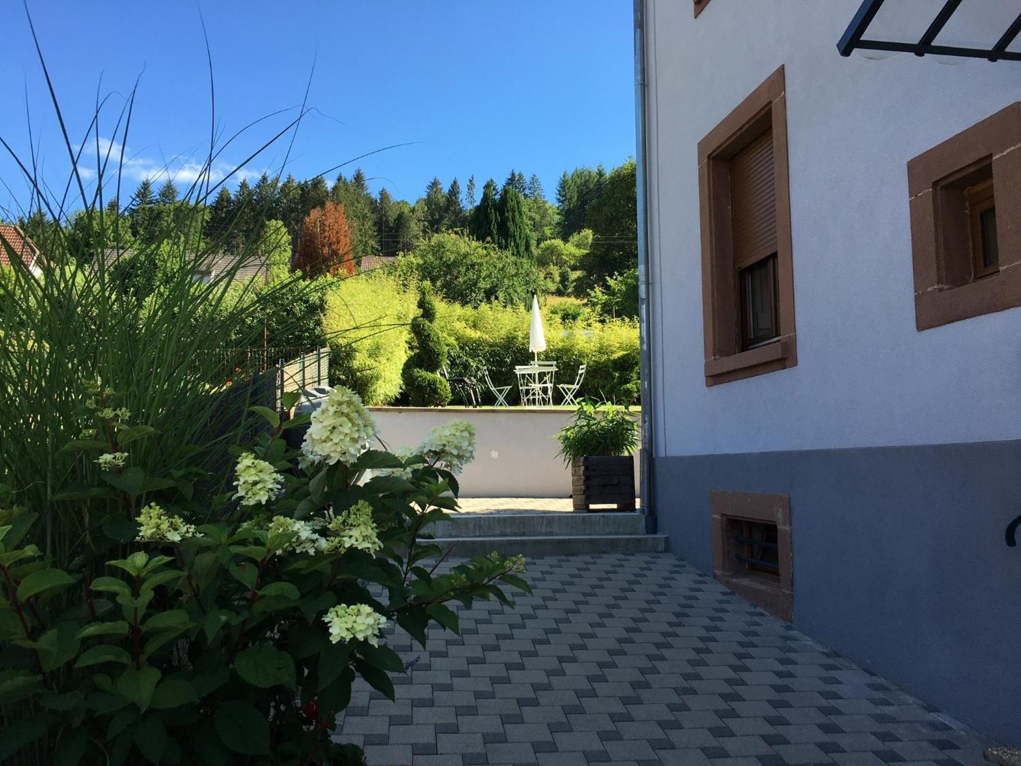 Les Magnolias En Alsace - Meuble De Tourisme 3 Etoiles Apartment Barembach Exterior foto